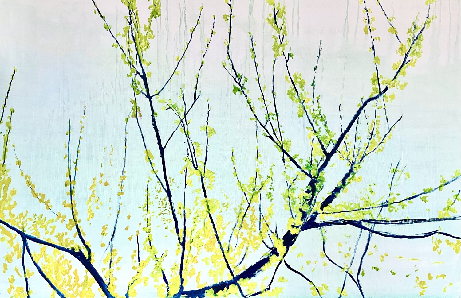 Branch of spring Francesco Calistri