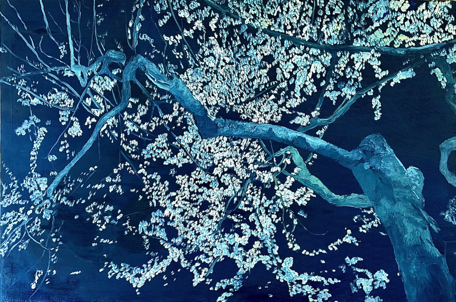 Fiori di notte Francesco Calistri