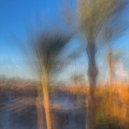 Oasis di Robert Schlund, Fotografia in vendita su Singulart