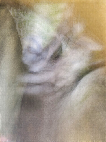 Luisenburg v1 van Robert Schlund, Fotografie te koop op Singulart