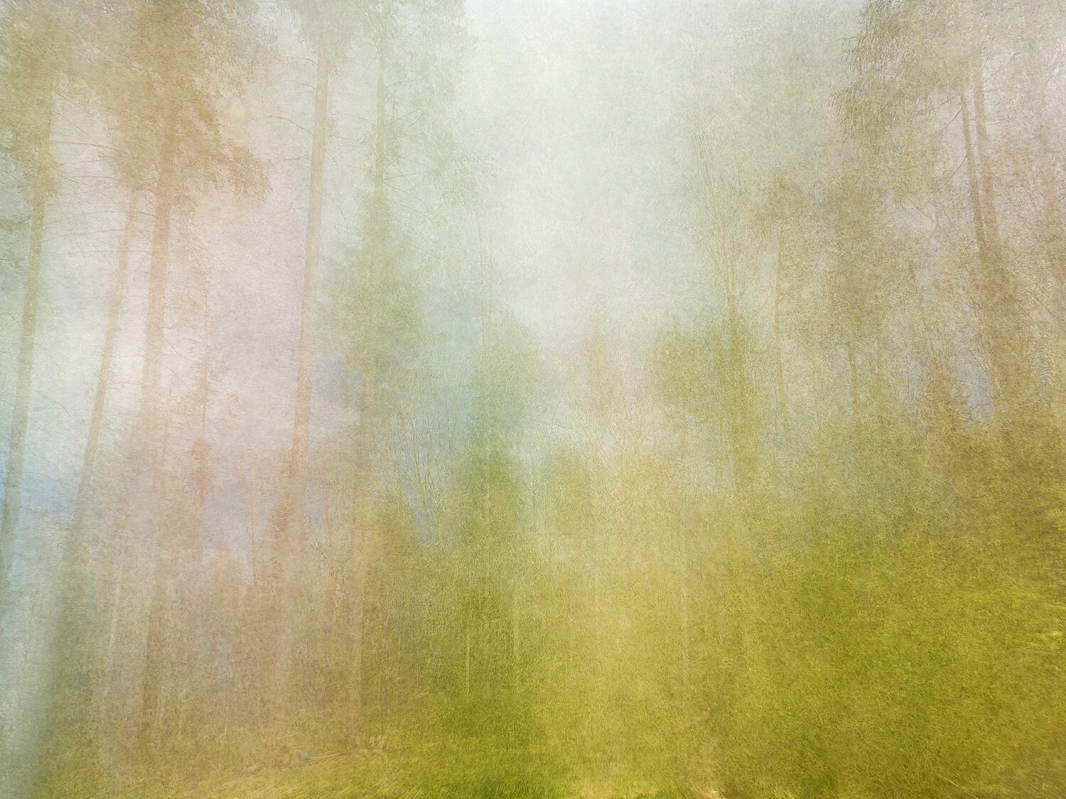 Waldfarben Robert Schlund