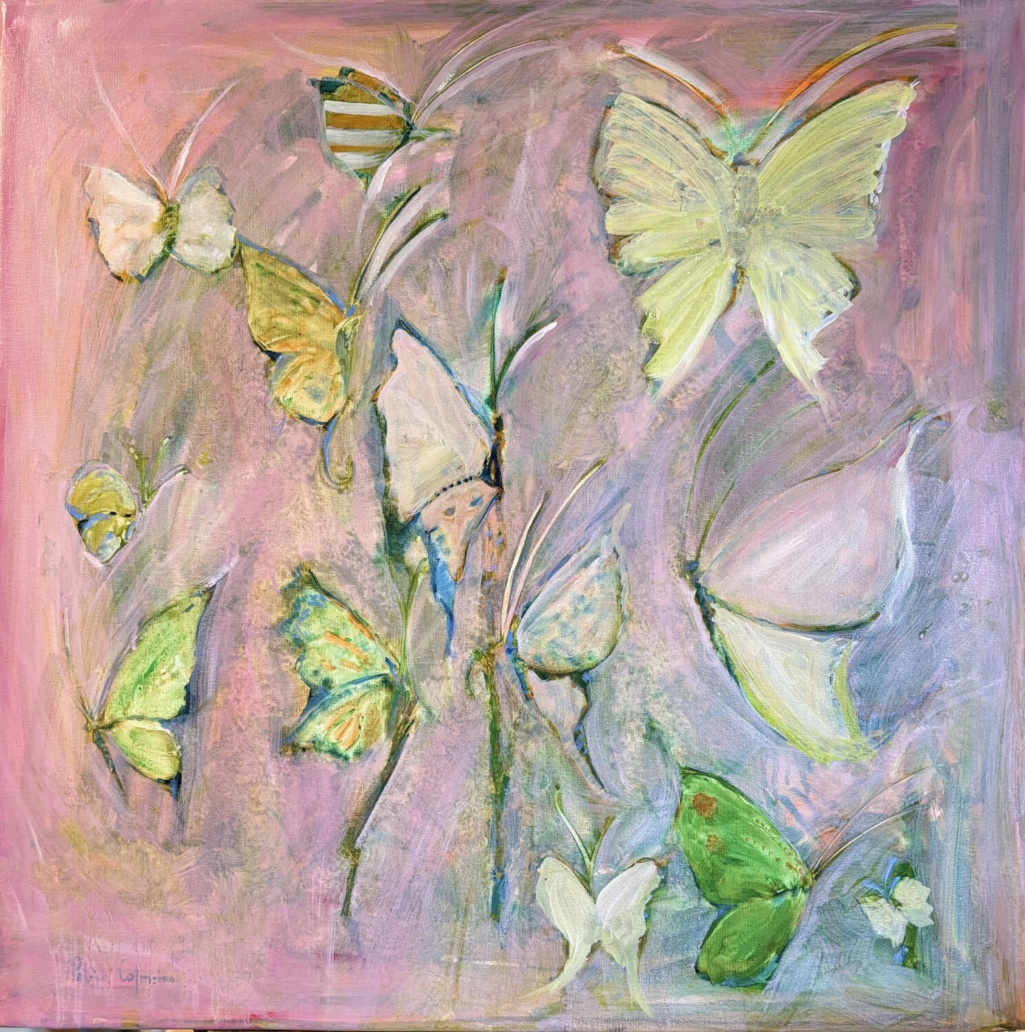 Mariposas in pink Patricia Colmeiro