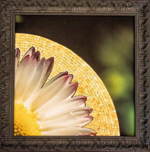 Sanctifié II di Romain Liverato, Fotografia in vendita su Singulart