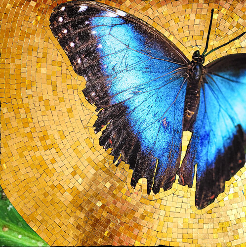 Sanctifié VI di Romain Liverato, Fotografia in vendita su Singulart