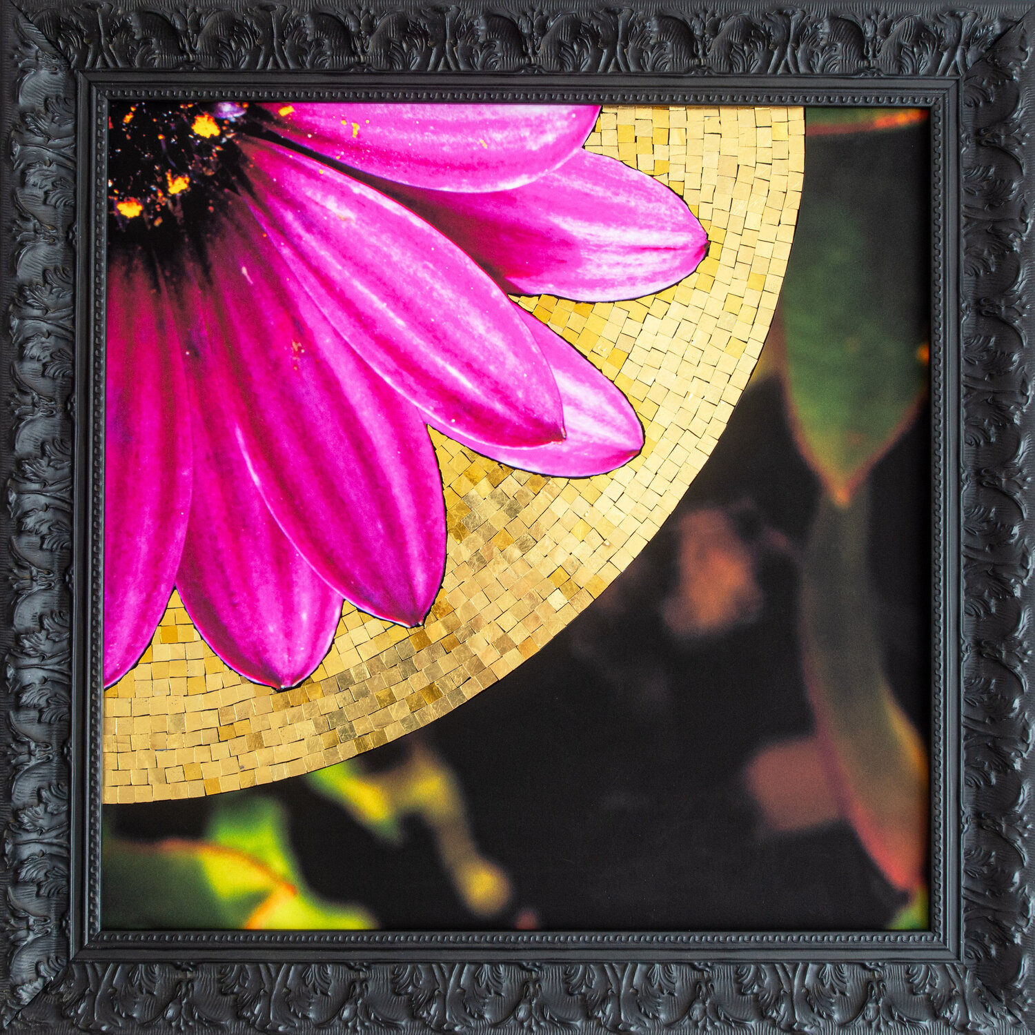 Sanctifié V Romain Liverato