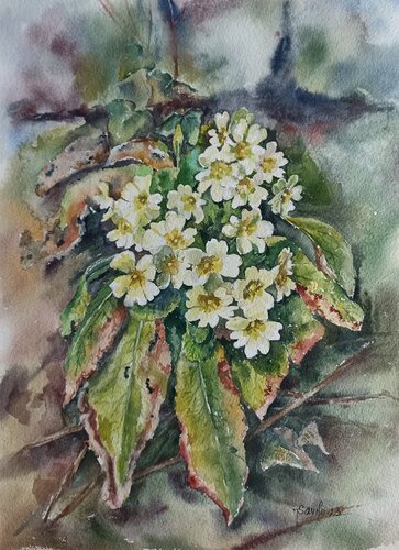 Flowers 2. by Tetyana Donets, Work on Paper for Sale on Singulart