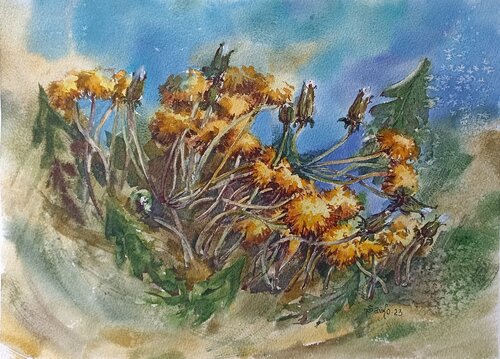 Dandelion flowers. by Tetyana Donets, Work on Paper for Sale on Singulart