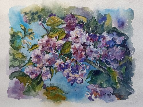 Sakura. by Tetyana Donets, Work on Paper for Sale on Singulart