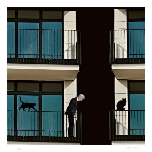 Le Vieil Homme et ses Chats by Jean-Marie Gitard, Print for Sale on Singulart