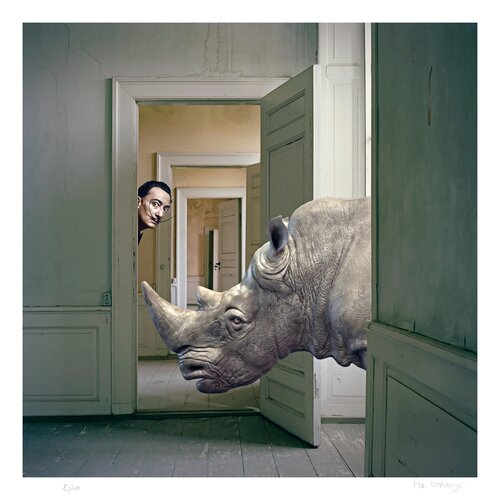 Le Rhinocéros de Salvador van Jean-Marie Gitard, Afdruk te koop op Singulart