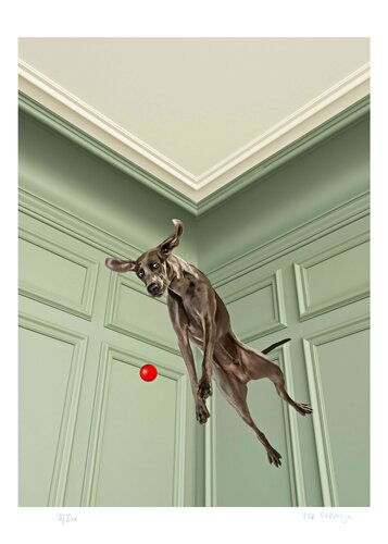 Charly Jump! von Jean-Marie Gitard, Druck kaufen auf Singulart