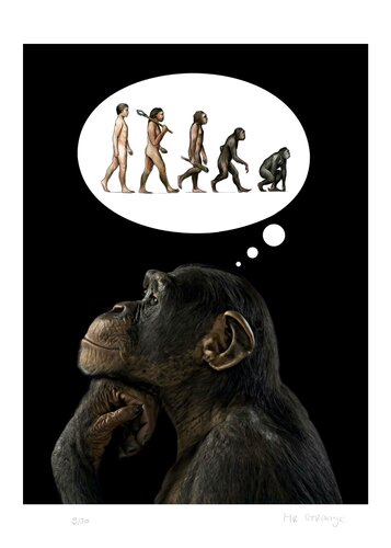 Homo Stupidus von Jean-Marie Gitard, Druck kaufen auf Singulart