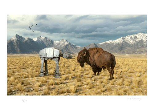 Buffaloes von Jean-Marie Gitard, Druck kaufen auf Singulart
