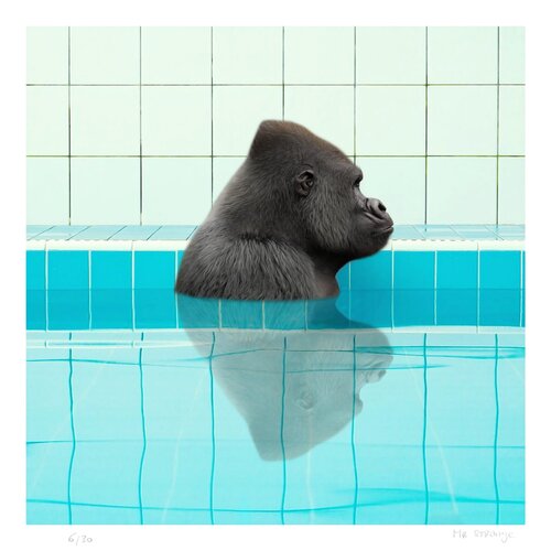 The Bath Jean-Marie Gitard