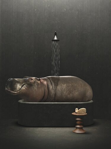 Hippo Bath von Jean-Marie Gitard, Druck kaufen auf Singulart