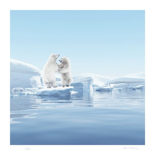 Polar Games von Jean-Marie Gitard, Druck kaufen auf Singulart