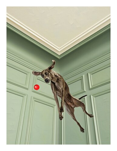 Charly Jump! by Jean-Marie Gitard, Print for Sale on Singulart