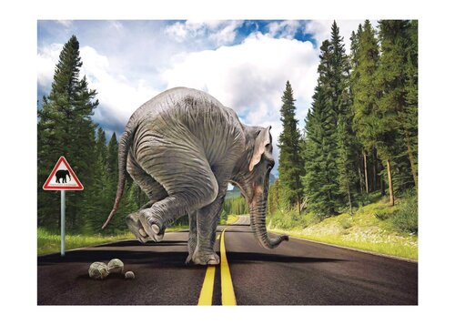 Elephant Way von Jean-Marie Gitard, Druck kaufen auf Singulart