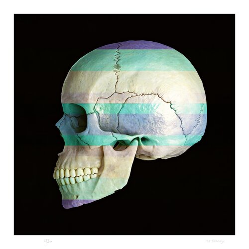 Decorated Human Skull I von Jean-Marie Gitard, Druck kaufen auf Singulart