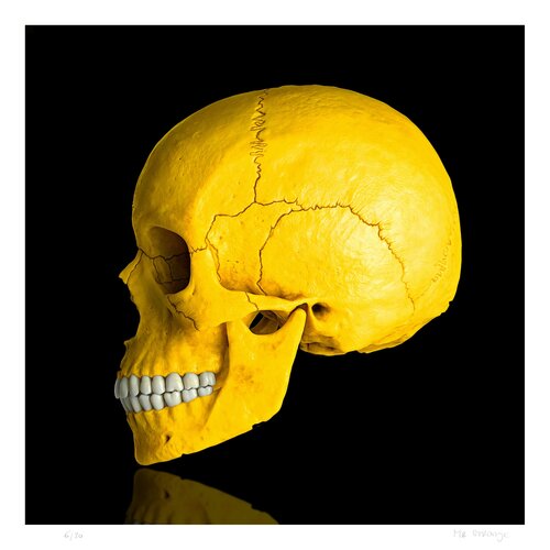 Death in Yellow by Jean-Marie Gitard, Print for Sale on Singulart