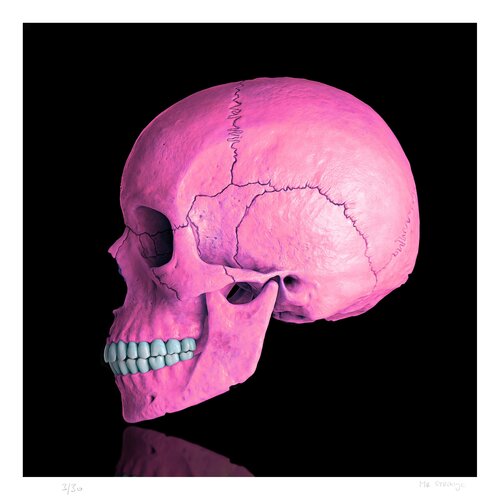 Death in Pink von Jean-Marie Gitard, Druck kaufen auf Singulart