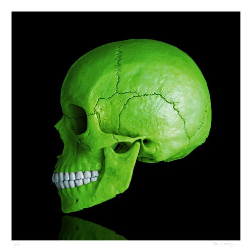 Death in Green von Jean-Marie Gitard, Druck kaufen auf Singulart