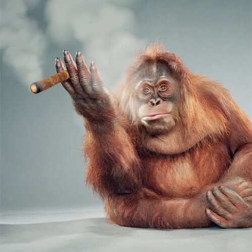 Miss Greenberg Smoke a Cigar by Jean-Marie Gitard, Print for Sale on Singulart