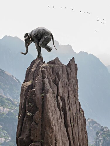 Yes, I Can (II) by Jean-Marie Gitard, Print for Sale on Singulart