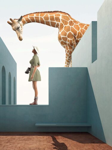 The Adventurer von Jean-Marie Gitard, Druck kaufen auf Singulart