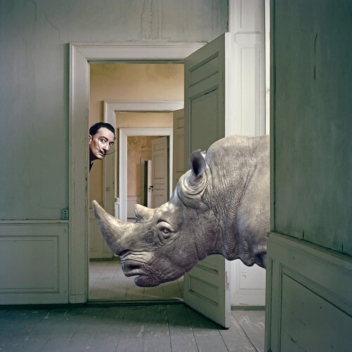 Le Rhinocéros de Salvador von Jean-Marie Gitard, Druck kaufen auf Singulart