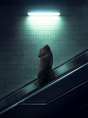 The Escalator von Jean-Marie Gitard, Druck kaufen auf Singulart