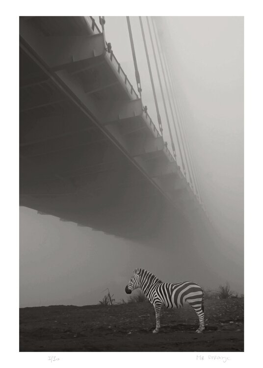 Le Zèbre du Pont Jean-Marie Gitard