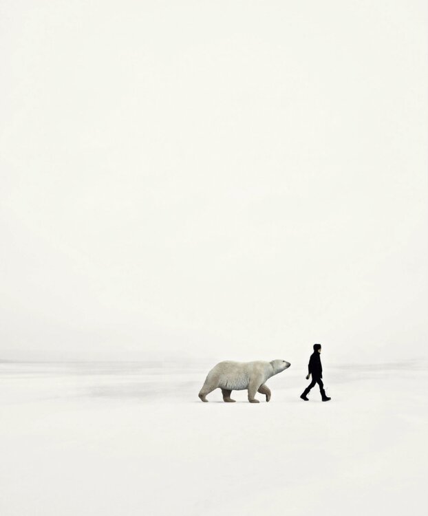 Arctic Jean-Marie Gitard