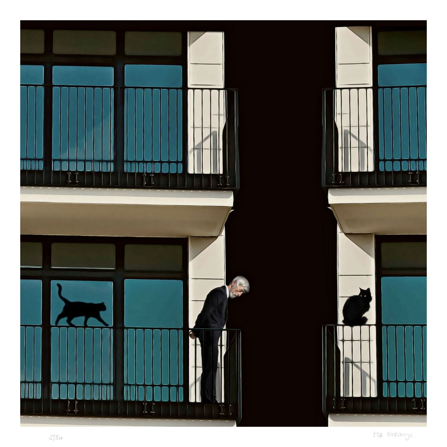 Le Vieil Homme et ses Chats Jean-Marie Gitard