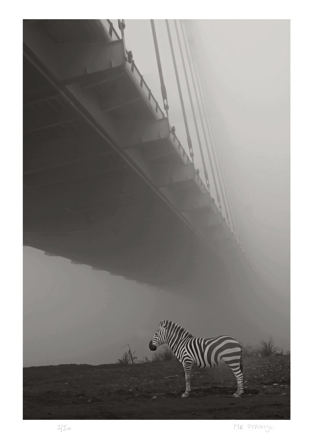 Le Zèbre du Pont Jean-Marie Gitard