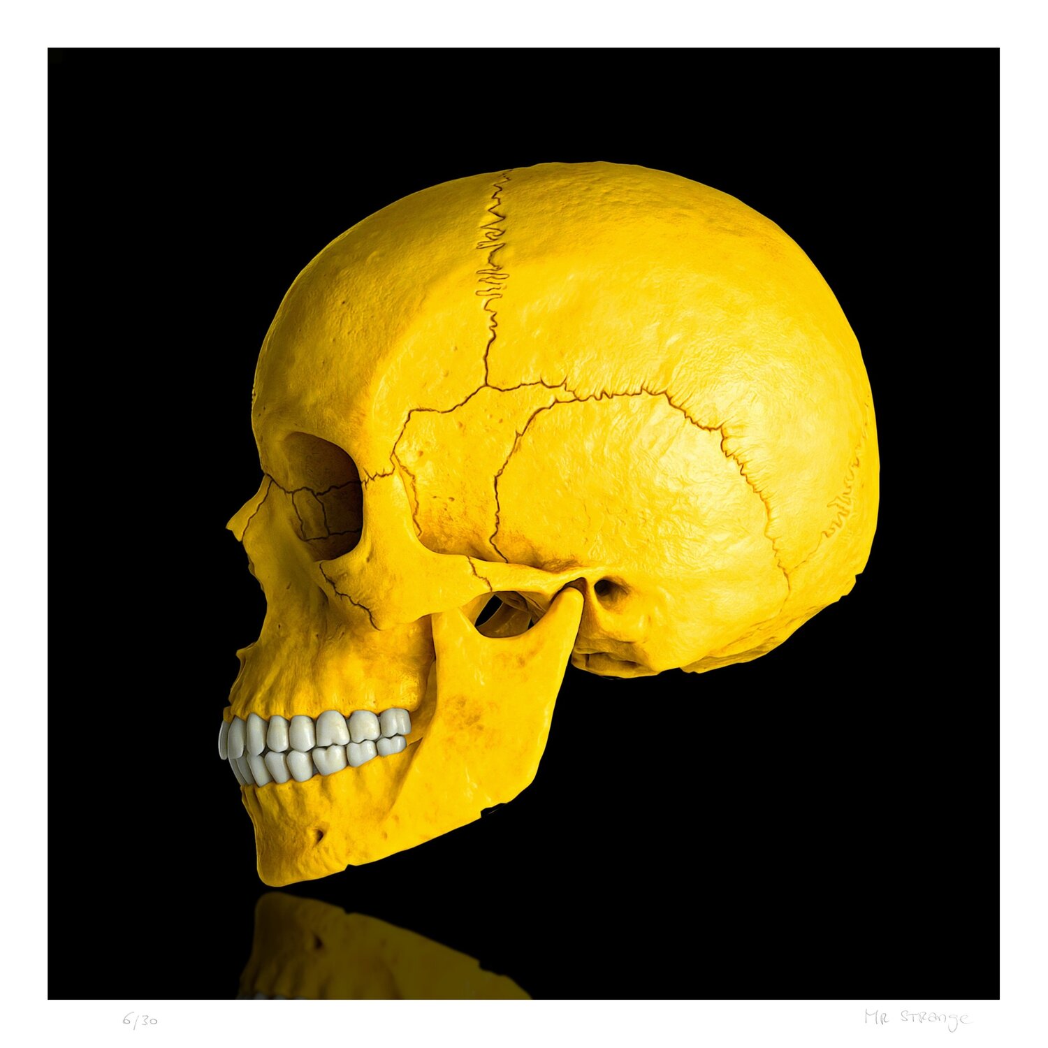Death in Yellow Jean-Marie Gitard