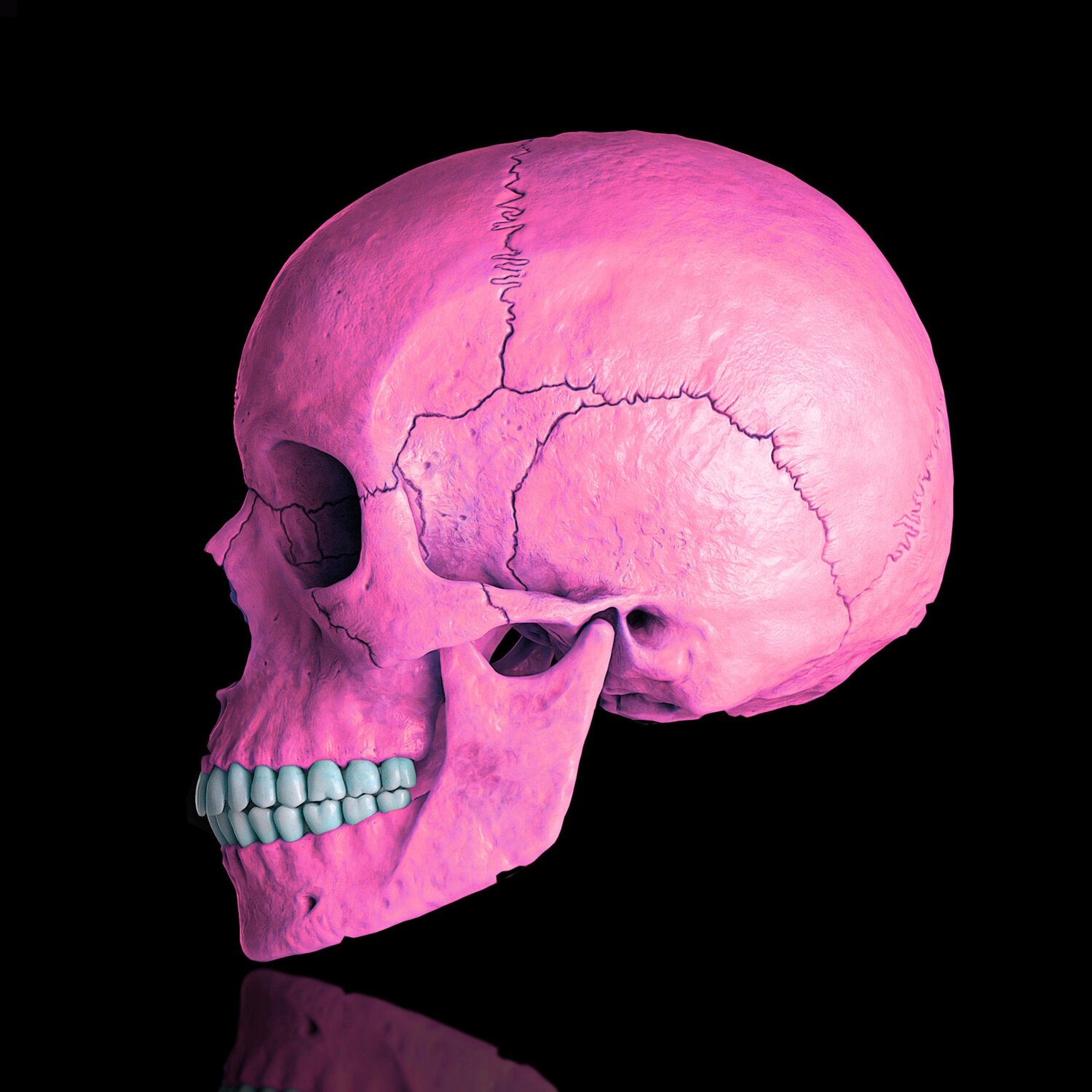 Death in Pink Jean-Marie Gitard