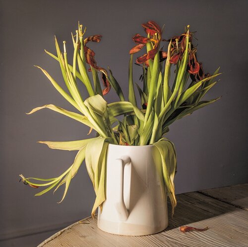 Dying Tulips de PETER WOODBURN, Fotografía a la venta en Singulart