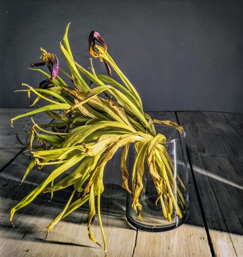 Confinement Flowers de PETER WOODBURN, Fotografía a la venta en Singulart