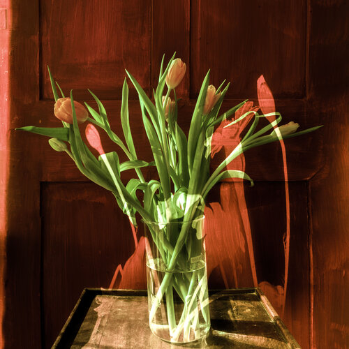 Bouquets, present and remembered before a red door van PETER WOODBURN, Fotografie te koop op Singulart