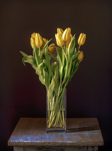 Yellow Memorial Tulips de PETER WOODBURN, Fotografía a la venta en Singulart
