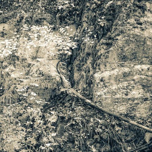 Rock Face on Forest Road near Gex de PETER WOODBURN, Fotografía a la venta en Singulart