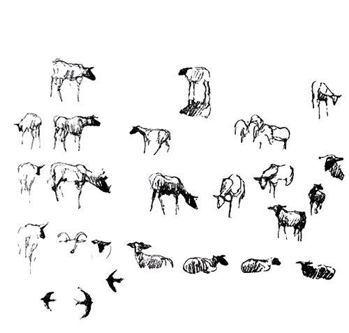 Ovejas 2 di Claudio Pincas Feldman, Disegno in vendita su Singulart
