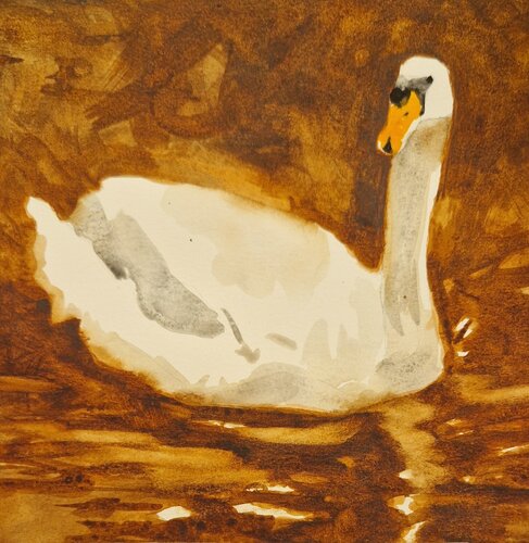 Cisne 2 Claudio Pincas Feldman
