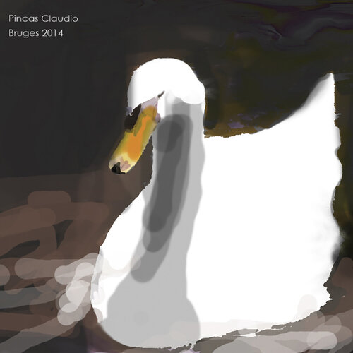 Cisne 3 von Claudio Pincas Feldman, Malerei kaufen auf Singulart