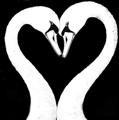 Cisne 5 van Claudio Pincas Feldman, Afdruk te koop op Singulart