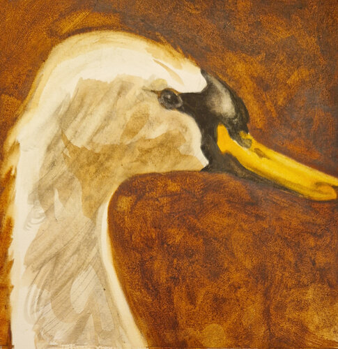 Cisne 6 von Claudio Pincas Feldman, Malerei kaufen auf Singulart