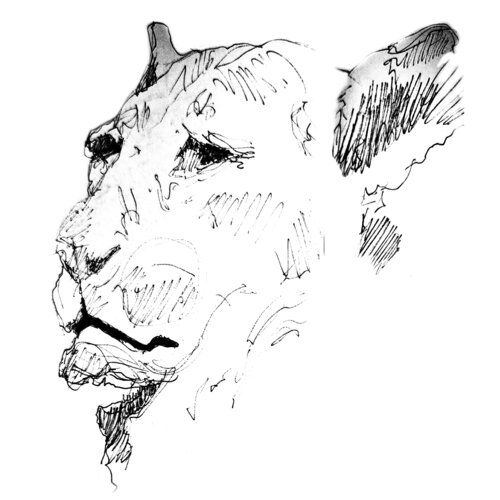 Leon 3/4 van Claudio Pincas Feldman, Tekening te koop op Singulart