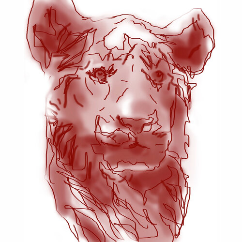 Leon 17 van Claudio Pincas Feldman, Tekening te koop op Singulart