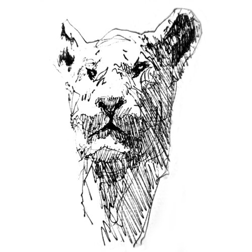 Leon 101 van Claudio Pincas Feldman, Tekening te koop op Singulart